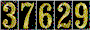 Hit Counter