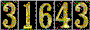 Hit Counter