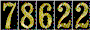 Hit Counter