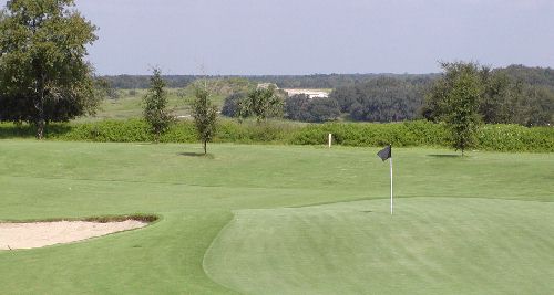 Orlando Golf Club Black Bear