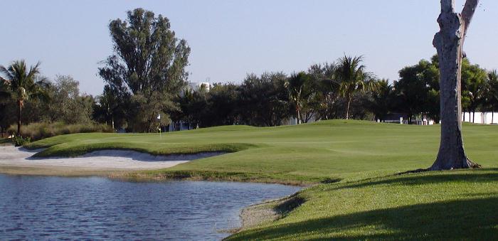 Tallahassee golf hole