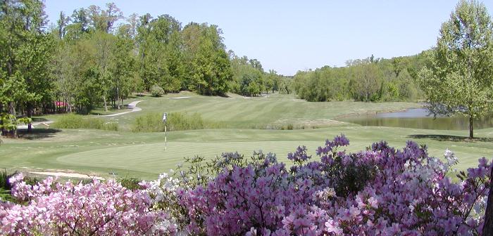 Augusta Golf Hole Ga. Georgia