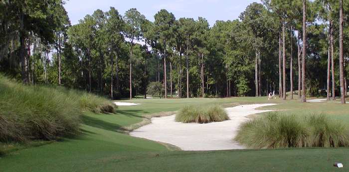 Savannah Golf Hole 2