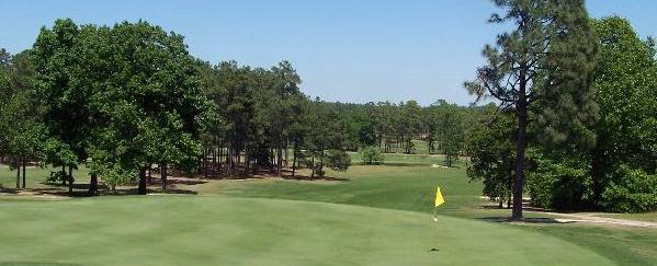 Fayetteville Golf Hole