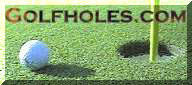 Charles T Myers Golf Hole and Flag