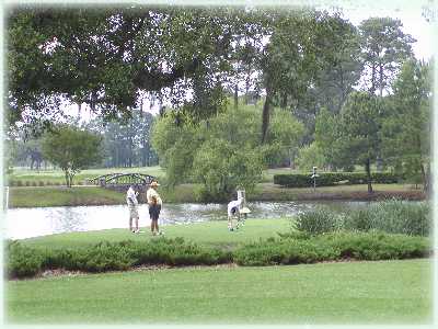 A South Carolina golf tee - sideview