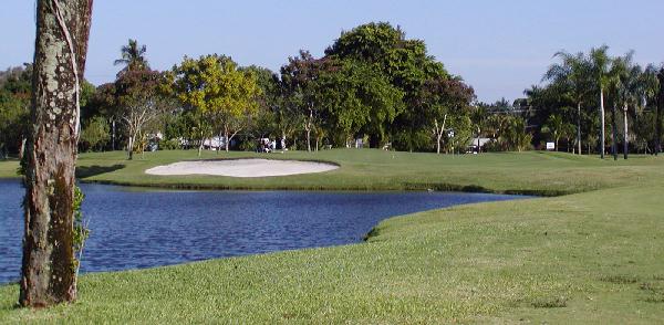 Miami Golf Hole and flag