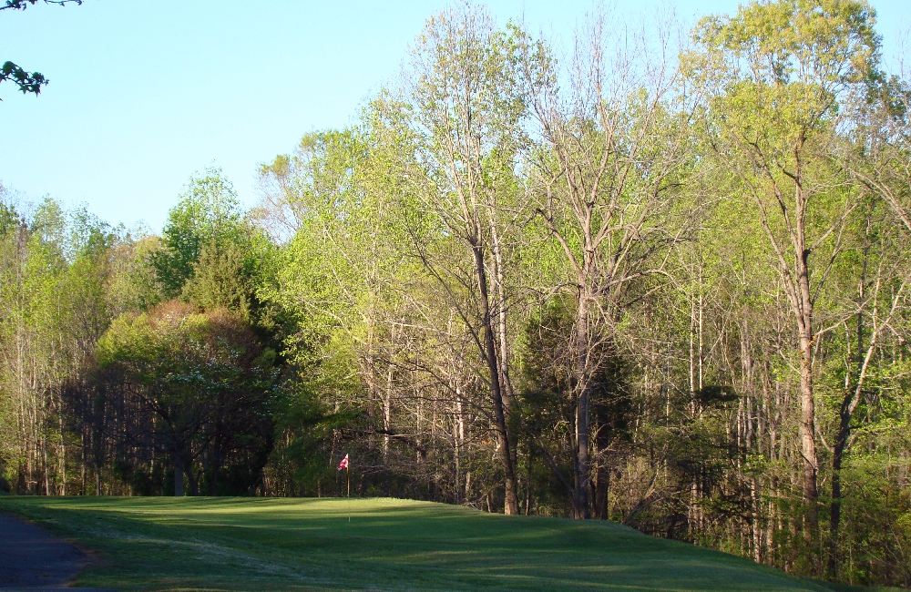 Renaissance Golf Club Hole 15 in harlotte, NC