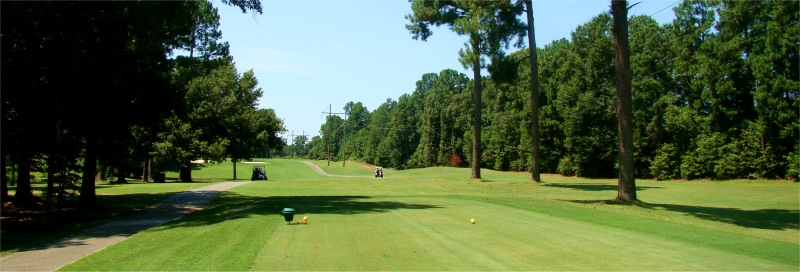 Name Golf Course Hole 1 - Tee Shot