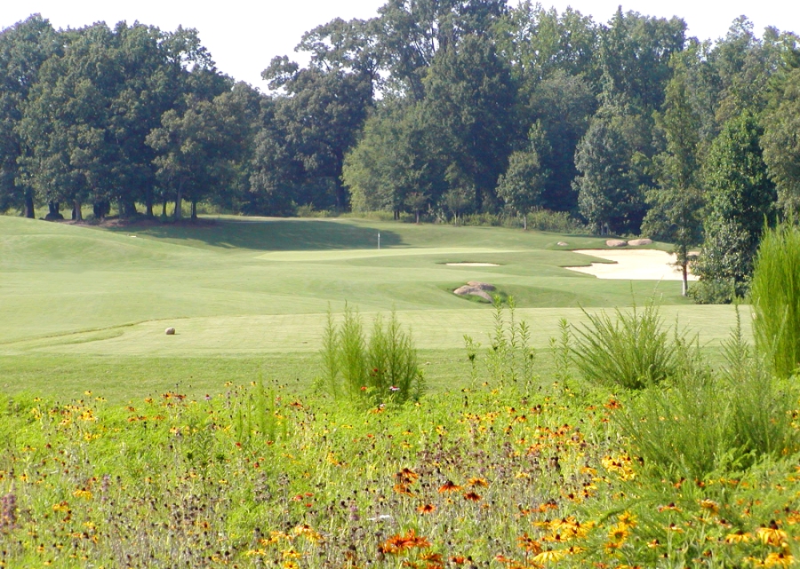 Regent Park Golf Club Hole 18 - Charlotte Golf Area